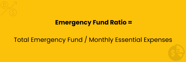 Emergency Fund Ratio